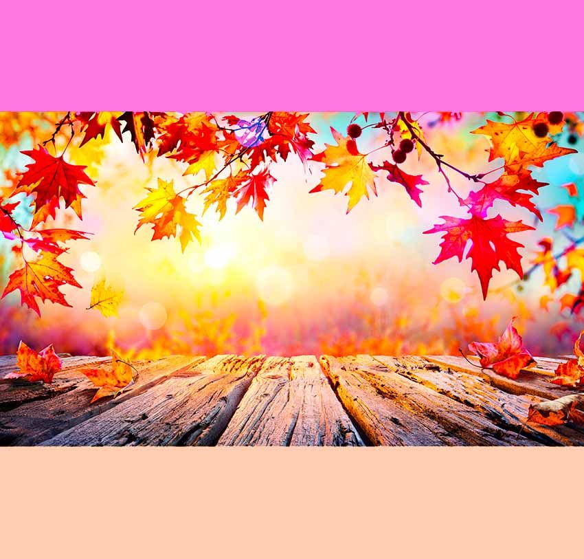 autumn