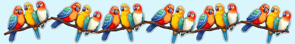 divider pulzinetto chiaro