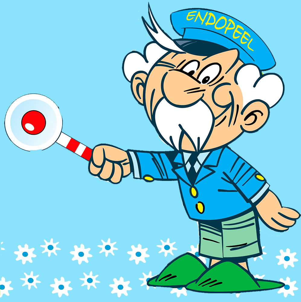 Endopeel modular hands-on workshop for physicians with selected body and facial indications