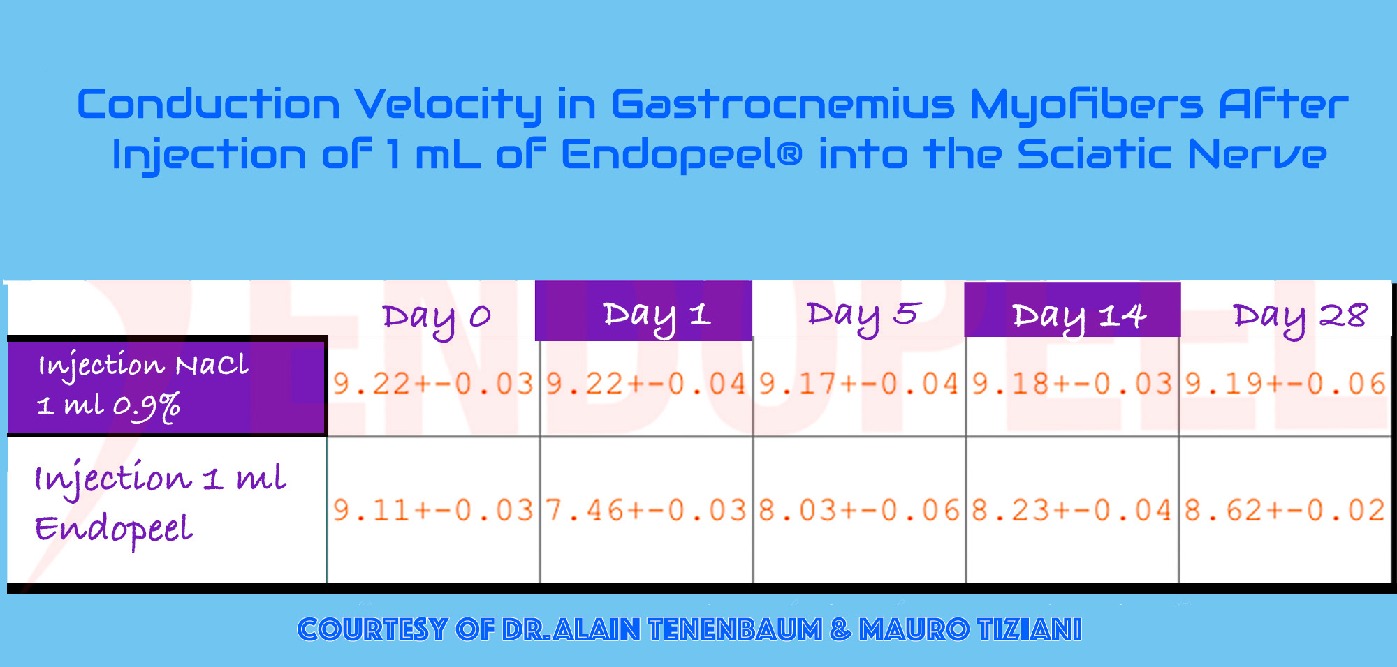 Conduction velocity observations related to Endopeel functional myostructural support