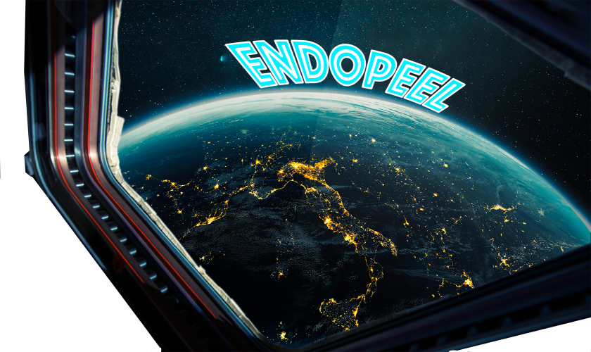 shuttle space index endopeel for MD